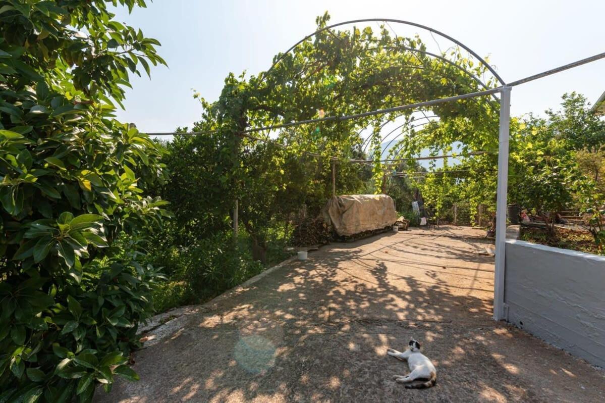 Serene Seaside Bliss - Lush & Secluded Garden Oasis 卡拉马塔 外观 照片