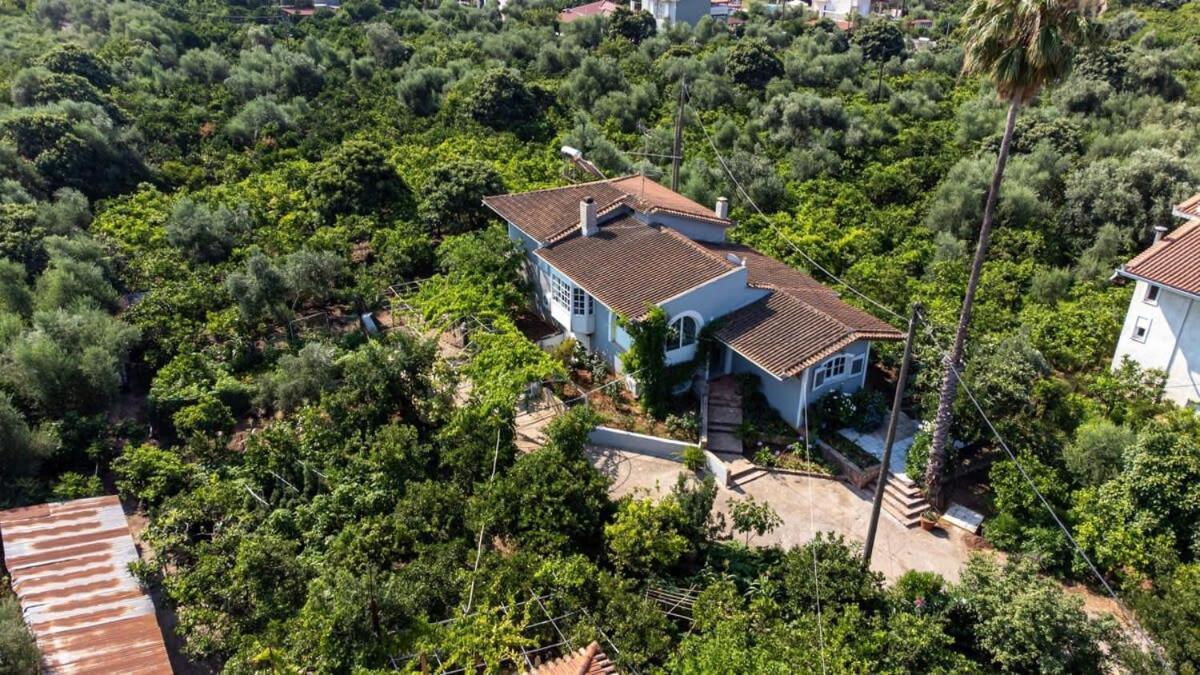 Serene Seaside Bliss - Lush & Secluded Garden Oasis 卡拉马塔 外观 照片